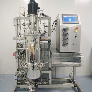 30l Stainless Steel Automatic Bioreactor